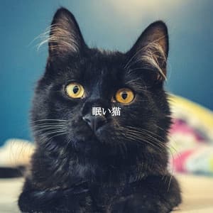眠い猫 - Classic Jazz Music