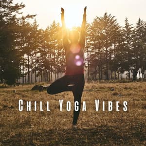 Chill Yoga Vibes: Lofi Soundscapes for Tranquil Practice - Lofi Chillhop