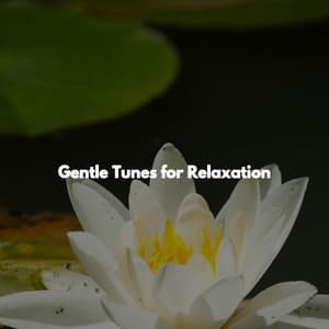 Gentle Tunes for Relaxation - Deep Sleep Music Therapy
