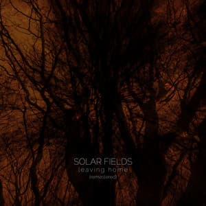 Leaving Home - Solar Fields