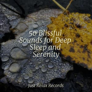 50 Blissful Sounds for Deep Sleep and Serenity - Healing Yoga Meditation Music Consort