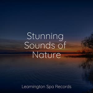 Stunning Sounds of Nature - SleepTherapy