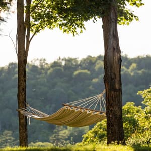 Soft Sounds: Music for Stress Relief and Relaxation - Background Music for Videos