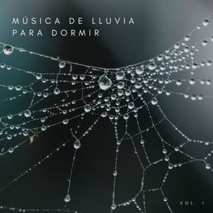 Música De Lluvia Para Dormir Vol. 1 - Dormir Bien