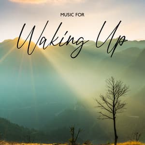 Music For Waking Up - Bredbury House
