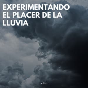Experimentando el placer de la lluvia Vol. 1 - Lluvia