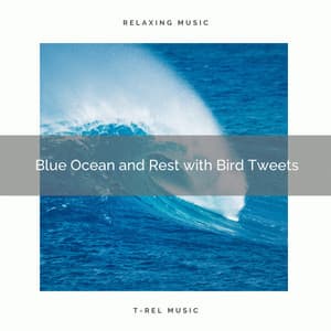 2020 Best: Blue Ocean and Rest with Bird Tweets - Ocean Noises