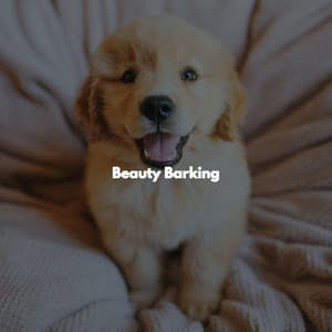 Beauty Barking - Light Dinner Music