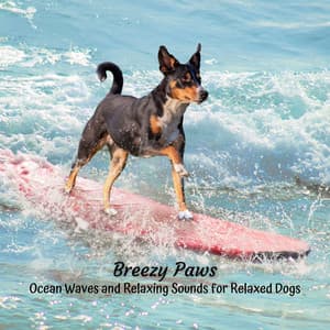 Breezy Paws: Ocean Waves and Relaxing Sounds for Relaxed Dogs - Waves in Regression