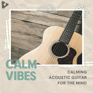 Calming Acoustic Guitar for the Mind - Calm Vibes