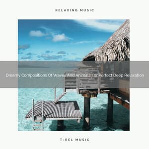Dreamy Compositions Of Waves And Animals For Perfect Deep Relaxation - Deep Rain Sampling