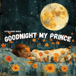 Goodnight My Prince - Little Sleep World