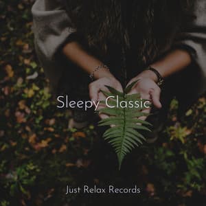 Sleepy Classic - Spa