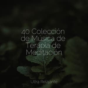 40 Colección de Música de Terapia de Meditación - Naturaleza Relajacion