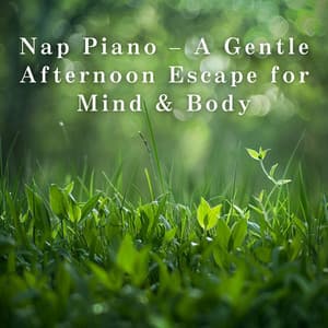 Nap Piano – A Gentle Afternoon Escape for Mind & Body - LOVE BOSSA