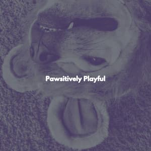 Pawsitively Playful - Klaviermusik
