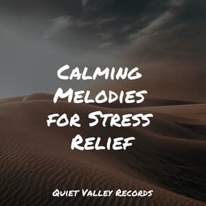 Calming Melodies for Stress Relief - Avslappning Sound