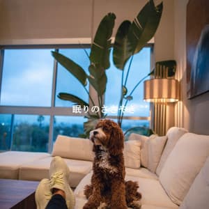 眠りのささやき - Night-Time Jazz