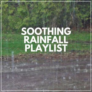Soothing Rainfall Playlist - Rain Relaxation