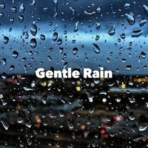 Gentle Rain - Sounds Of The Sea