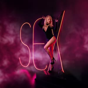 Own The Night - DJ Sedux