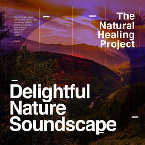 Delightful Nature Soundscape - The Natural Healing Project