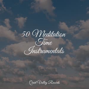 50 Meditation Time Instrumentals - Guided Meditation