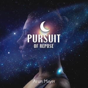 Pursuit of Repose - Arun Mayer