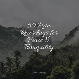 50 Rain Recordings for Peace & Tranquility - Rain Sounds & Nature Sounds