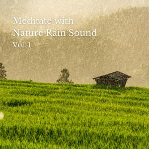 Meditate with Nature Rain Sound Vol. 1 - Transcendental Meditation