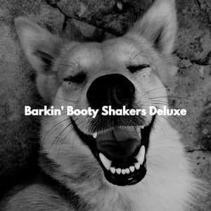 Barkin' Booty Shakers Deluxe - Jazz Chill Out Relax