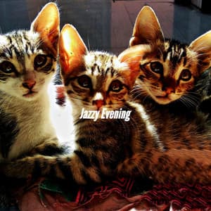 Jazzy Evening - Music for Programming