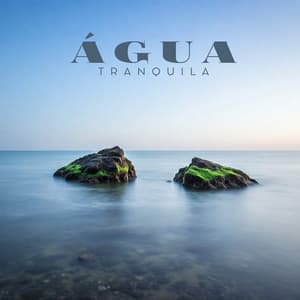 Água Tranquila: Alívio do Stress, Meditação Calma, Sono Relaxante - Relaxar Meditação Clube