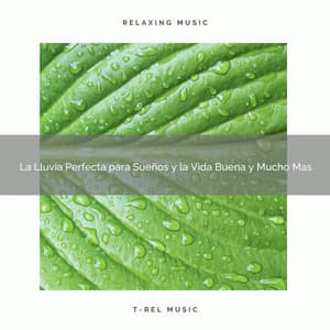 La Lluvia Perfecta para Sueños y la Vida Buena y Mucho Mas - Sonidos De Lluvia y Tormentas