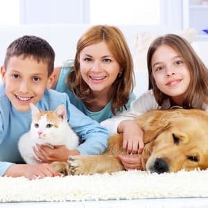 Canine Lullabies: Gentle Orchestra Music for Dogs - Raymond Floyd