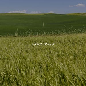 シダのガーデニング - Musica para Hoteles