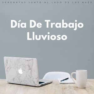 Día De Trabajo Lluvioso: Serenatas Junto Al Lago De Las Aves - Grabación de lluvia