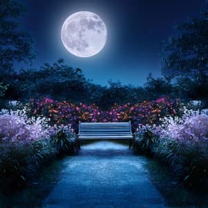 Relajación Profunda: Melodías Tranquilas Para La Noche - Lista de reproducción para relajarse por la mañana