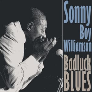 Bad Luck Blues - Sonny Boy Williamson II