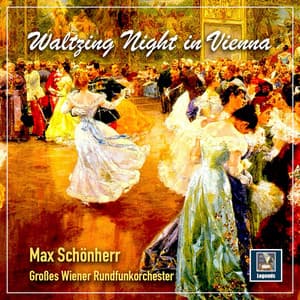 Waltzing Night in Vienna - Max Schönherr