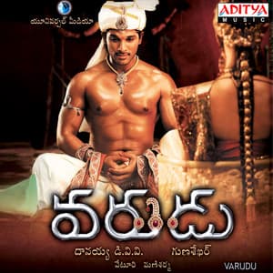 Varudu - Mani Sharma