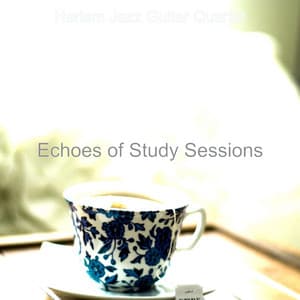 Echoes of Study Sessions - Harlem Jazz Guitar Quartet