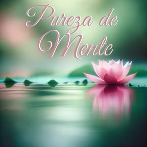 Pureza de Mente: Meditação Transcendental com os Sons dos Riachos das Montanhas - Academia de Música para Massagem Relaxamento