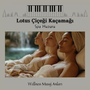 Lotus Çiçeği Kaçamağı - Spa Huzuru - Wellness Masaj Anları