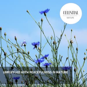 Unruffled With Peacefulness in Nature - Nature Radiance
