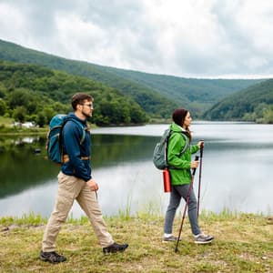 A Journey through Nature's Serene Heart - Morning Chill Playlist