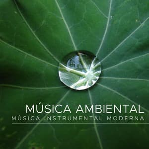 Musica Ambiental: Musica Instrumental Moderna - Yin And Yang