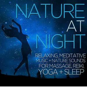 Nature at Night - Relaxing, Meditative Music and Nature Sounds for Massage, Reiki, Yoga, And Sleep - Nature Tribe