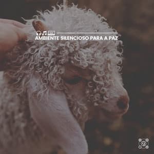 Ambiente Silencioso para a Paz - Relajante Academia de Música Zen