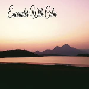 Encounter With Calm - Música Relajante